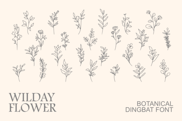 Wilday Flower: A Botanical Dingbat Font for Small Business Branding